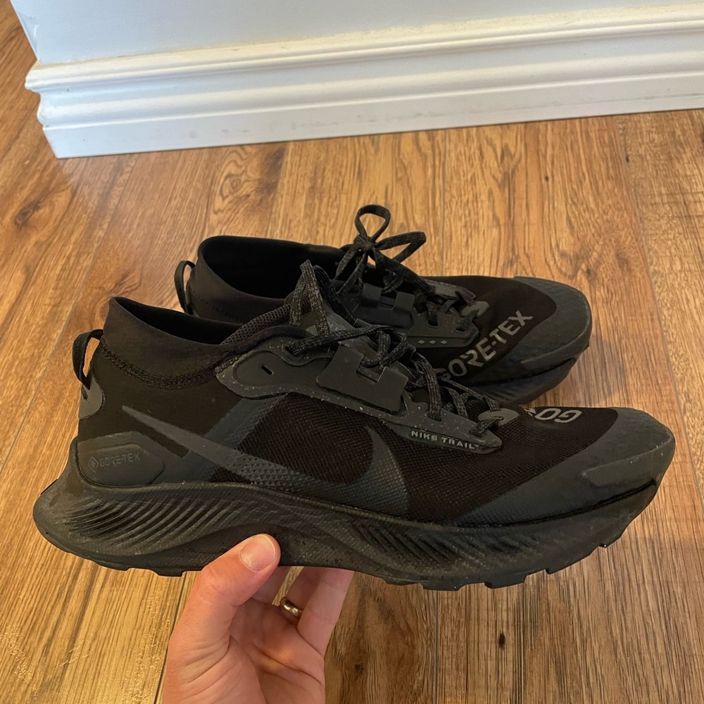 Nike Pegasus Trail 3 Gore Tex